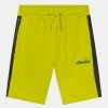 Ellesse PELLIO - Short - Green