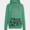 Ellesse LACRIMA HOODY - Sweat à Capuche - Green
